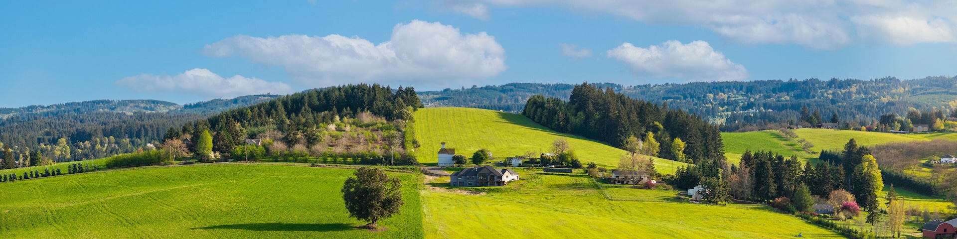 A rural landscape with rolling green fields, scattered trees, and a few houses.