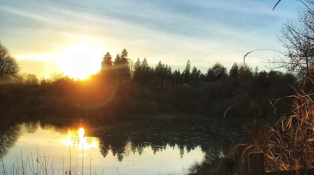 Perfect fall evening. #Sunset #bluesky #autumn #water #refection #sunlight #dog