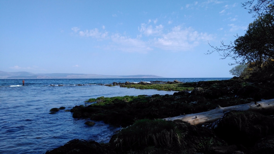 Kintyre, May 2016