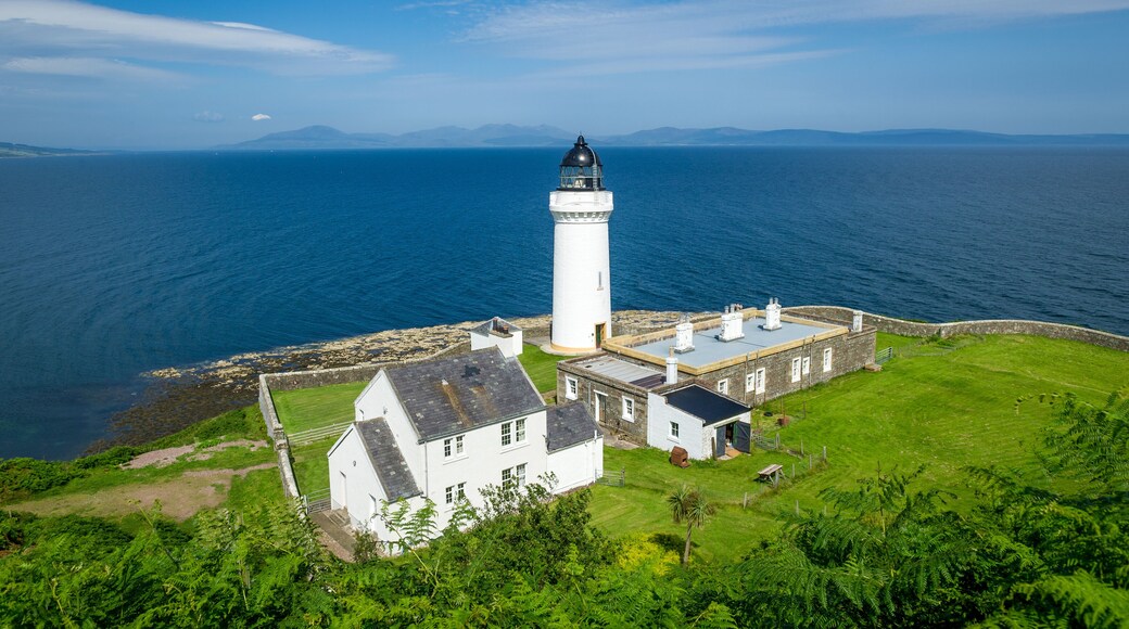 A white lighthouse with a black top, situated on a grassy cliff by the sea, with a clear sky above.
