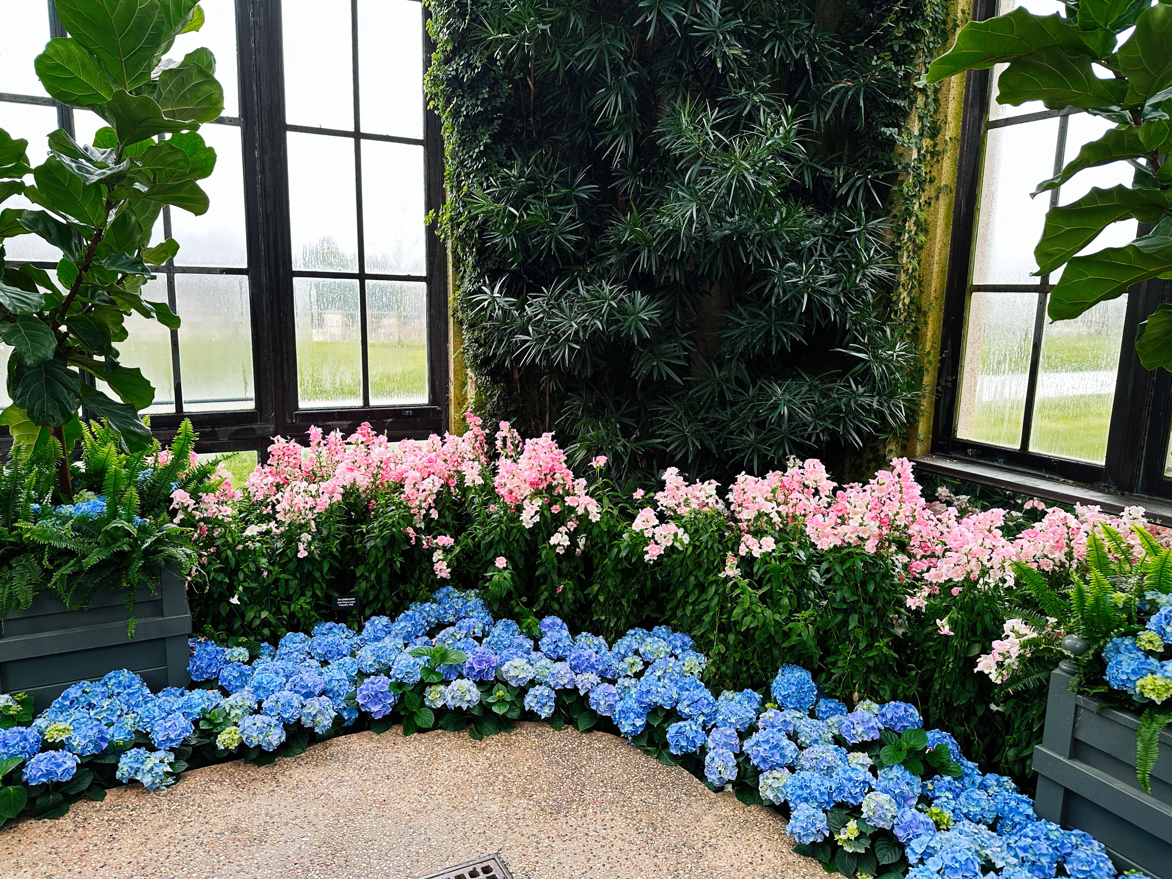 Beautiful floral arrangement in Longwood Gardens conservatory, Kennett Square, PA, USA