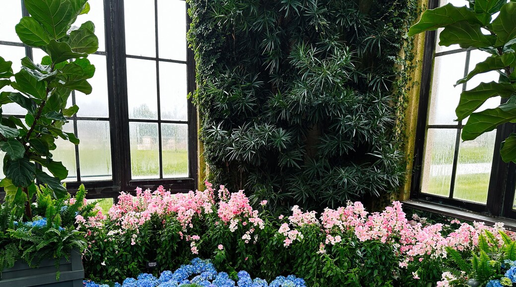 Een broeikas met roze en blauwe bloemen, een grindpad en een verticale bloemenmuur.