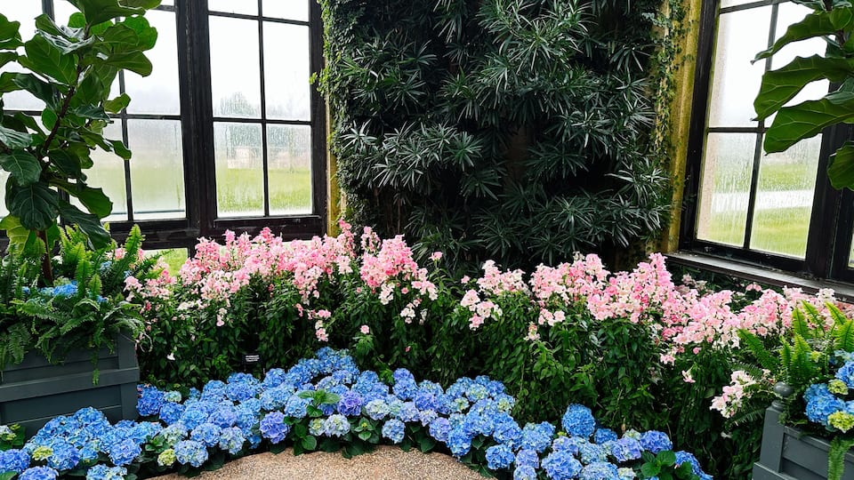 Beautiful floral arrangement in Longwood Gardens conservatory, Kennett Square, PA, USA