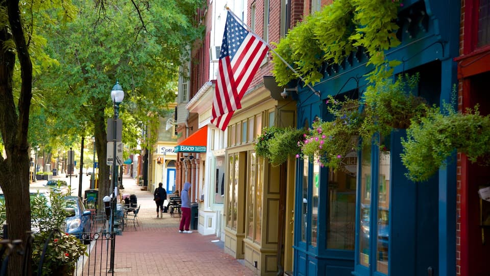 A tree-lined street with American flags, storefronts, and a sidewalk.