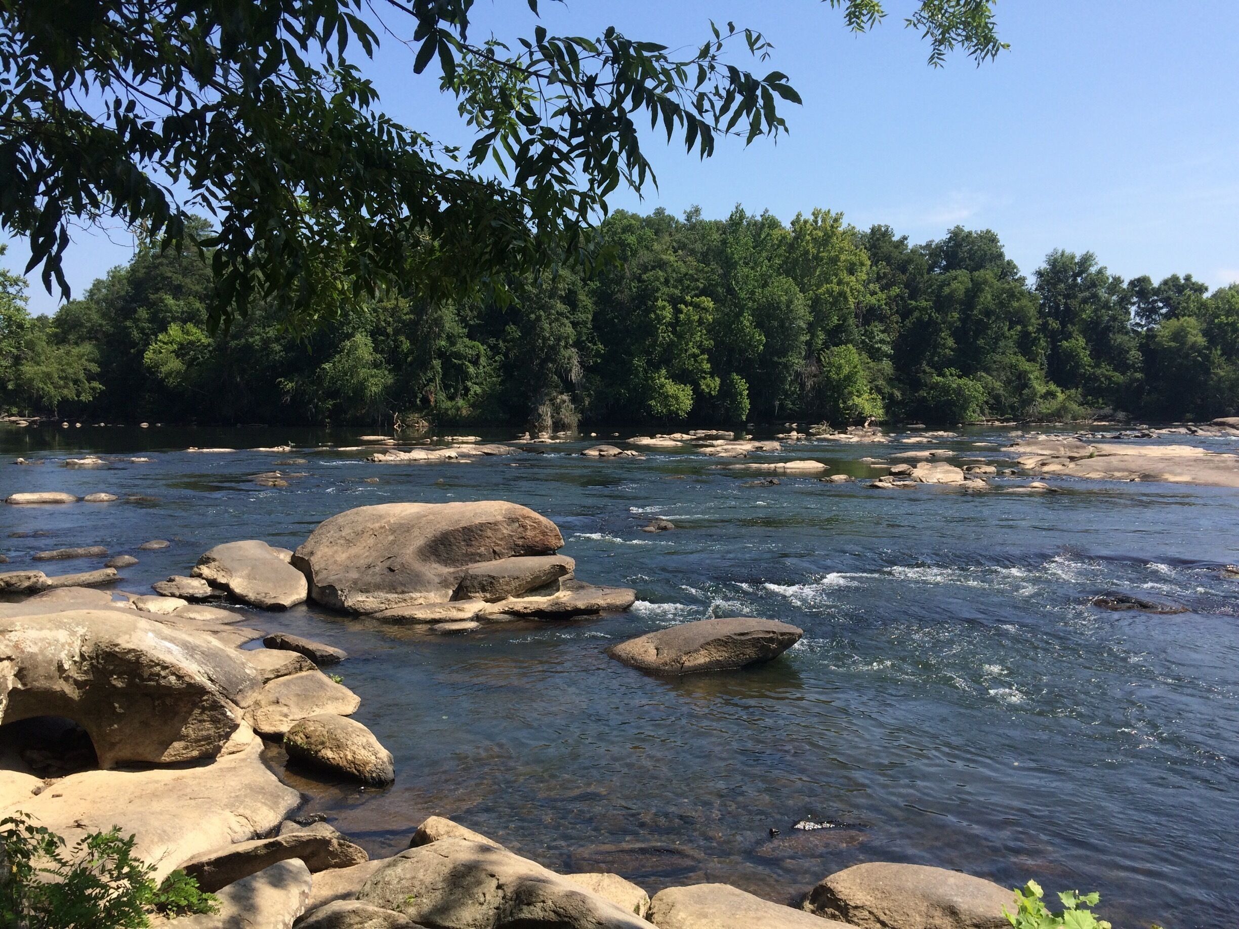 On Riverwalk trail-three rivers greenway