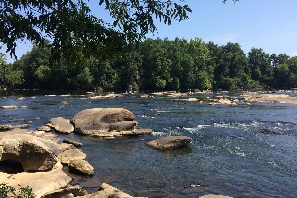 A river with clear water flowing over rocks, surrounded by dense green forest.