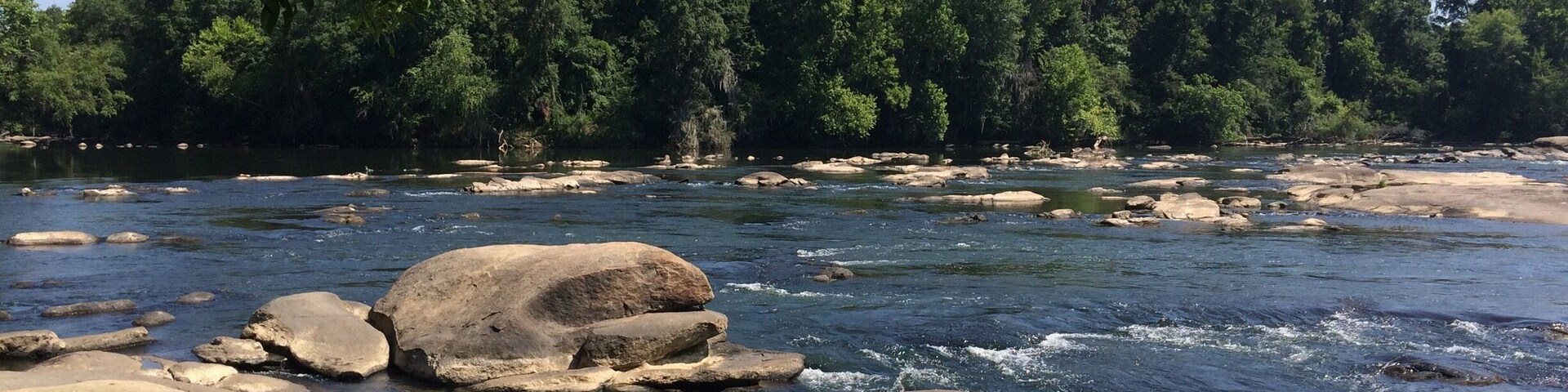 On Riverwalk trail-three rivers greenway