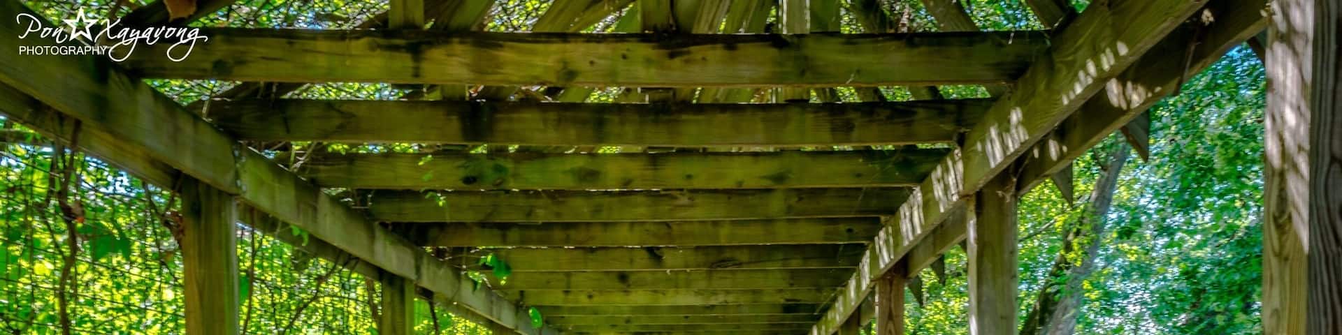 Bored walk at West Columbia Riverside park