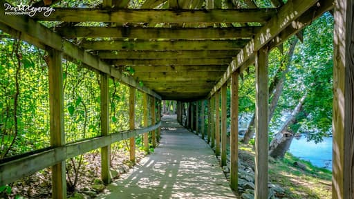Bored walk at West Columbia Riverside park