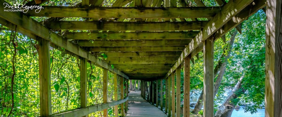 A wooden covered walkway with a concrete path, surrounded by lush greenery and trees.