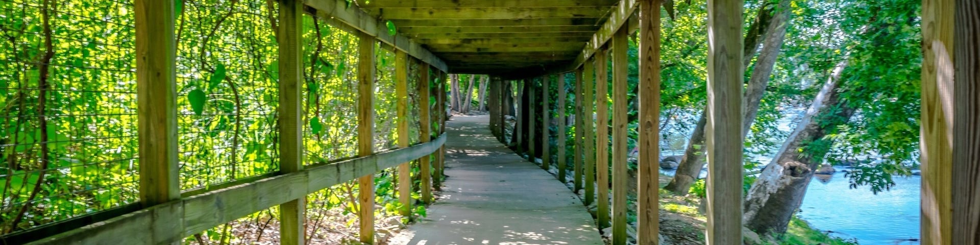 A wooden covered walkway with a concrete path, surrounded by lush greenery and trees.