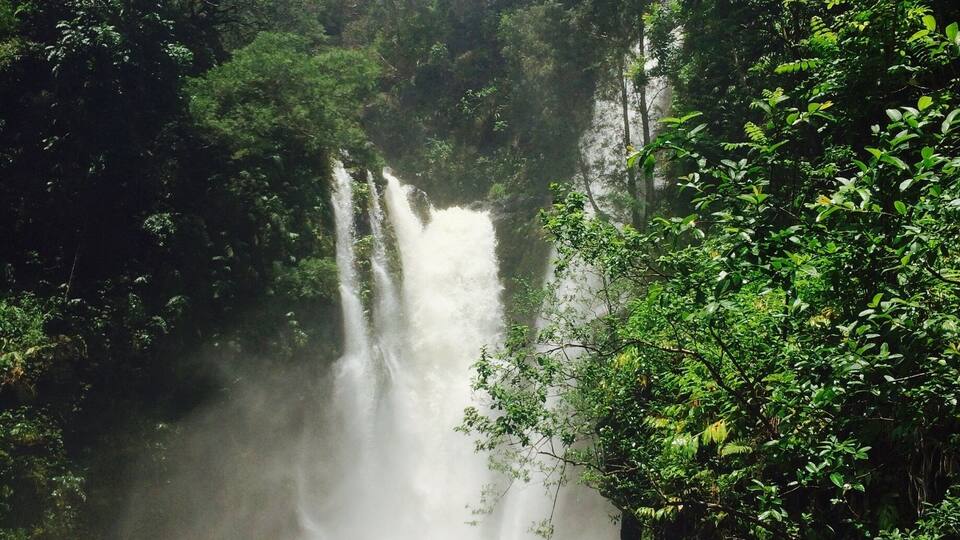 A waterfall surrounded by dense forest.