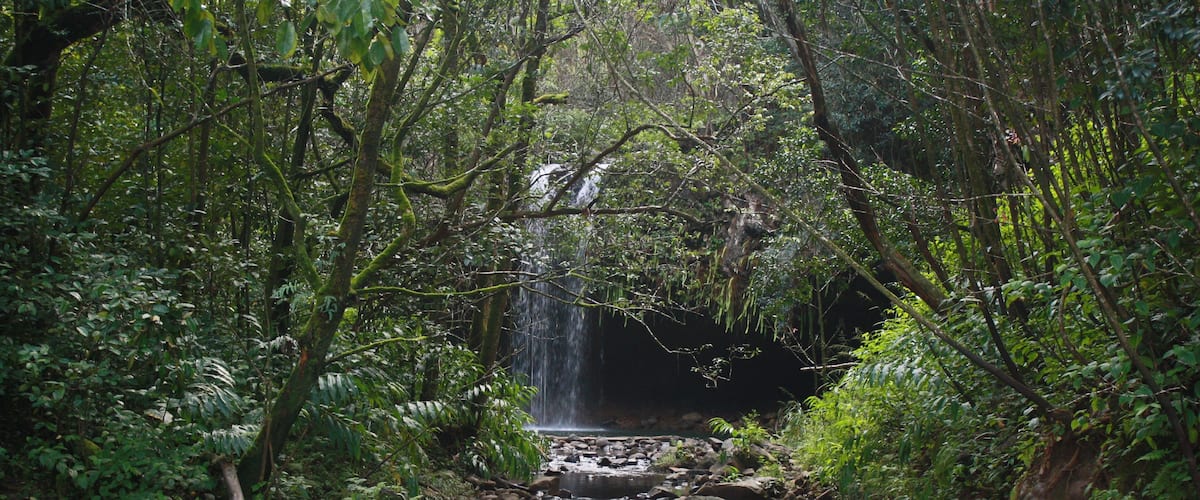 Tropical Paradise
After hiking along the meandering path, past the bamboo forest and crossing the often times dangerous creek, we came across this stunning waterfall amphitheatre and amazing approach. We were not prepared for a swim but doffed what we could and swam anyways. Definitely a bucket list moment.