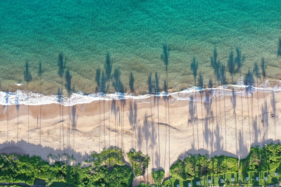 Vista aérea de una playa con agua turquesa cristalina, una orilla arenosa y una hilera de palmeras.