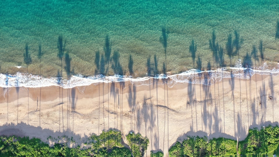 An aerial view of a beach with clear turquoise water, a sandy shore, and a line of palm trees.