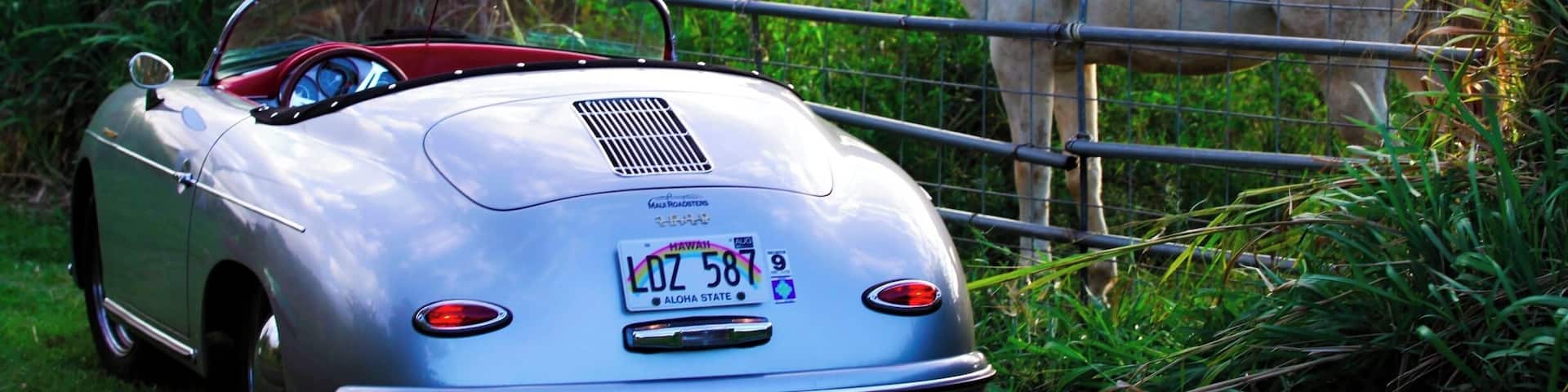 Found this beauty while exploring the back roads of Haiku in upcountry Maui. With lush green pastures, rolling hills and towering eucalyptus trees, you are worlds away from the sand and surf that most people associate with the island. No wonder Oprah comes here to get away from it all!