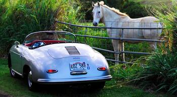 Found this beauty while exploring the back roads of Haiku in upcountry Maui. With lush green pastures, rolling hills and towering eucalyptus trees, you are worlds away from the sand and surf that most people associate with the island. No wonder Oprah comes here to get away from it all!