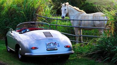 Found this beauty while exploring the back roads of Haiku in upcountry Maui. With lush green pastures, rolling hills and towering eucalyptus trees, you are worlds away from the sand and surf that most people associate with the island. No wonder Oprah comes here to get away from it all!