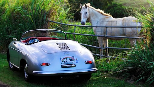 Found this beauty while exploring the back roads of Haiku in upcountry Maui. With lush green pastures, rolling hills and towering eucalyptus trees, you are worlds away from the sand and surf that most people associate with the island. No wonder Oprah comes here to get away from it all!