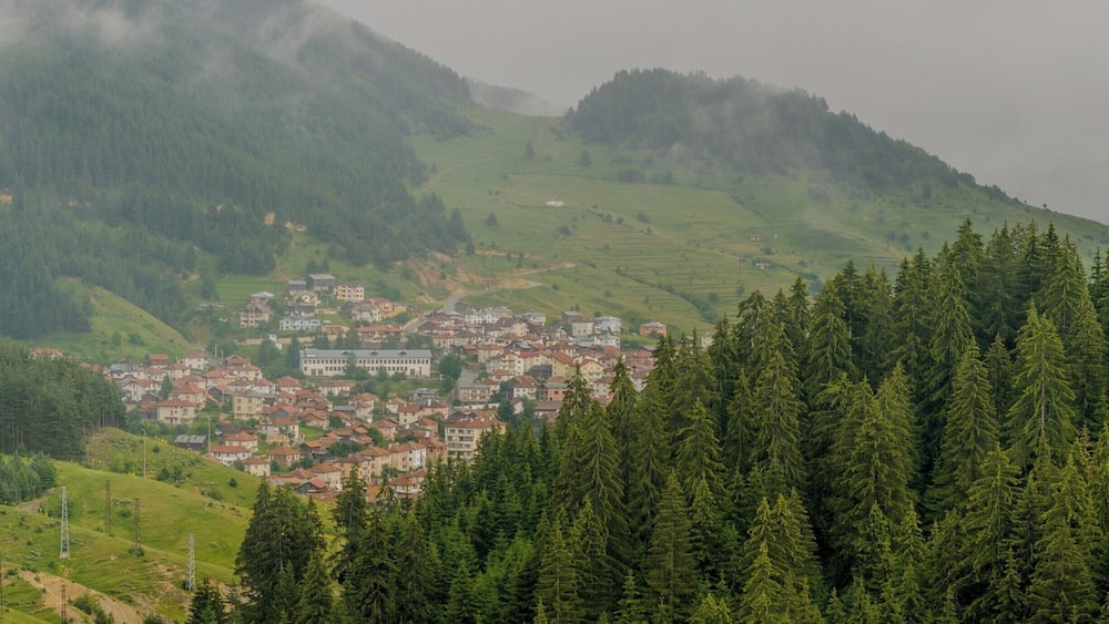 Cool place for peace and recover from the daily activities
#BvSExplore