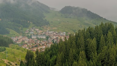 Cool place for peace and recover from the daily activities
#BvSExplore