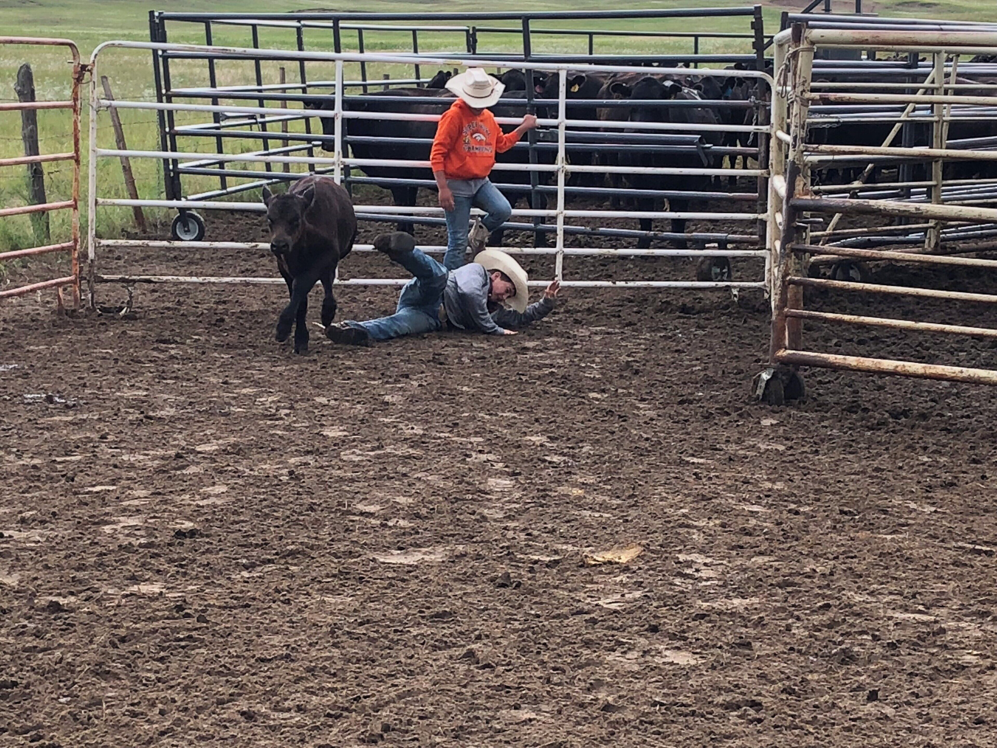 Off he goes! Nothing like riding a few calves to add some excitement. #Adventure of ranch kids.