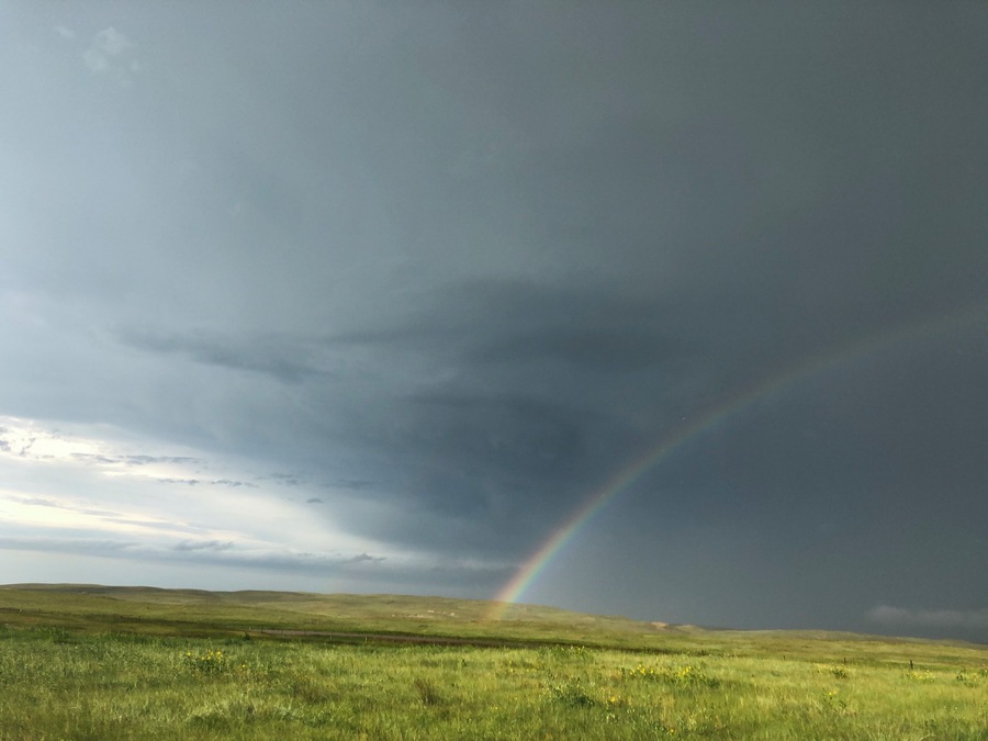 Gorgeous rain today.