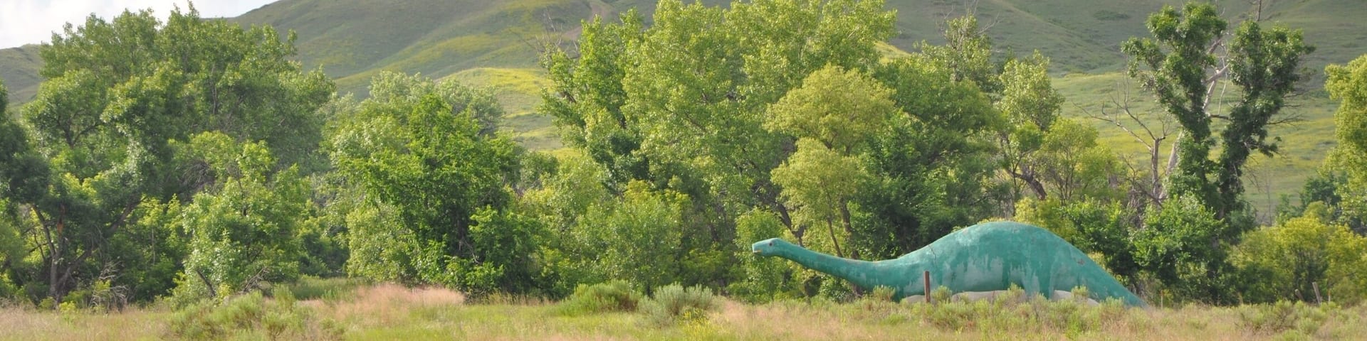 After Mt. Rushmore, on the way to the Badlands, on the north side of Hwy 44, we spotted this dinosaur roaming the fields!!
Not sure exactly where on the map, so if you know for certain, please comment.