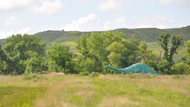 After Mt. Rushmore, on the way to the Badlands, on the north side of Hwy 44, we spotted this dinosaur roaming the fields!!
Not sure exactly where on the map, so if you know for certain, please comment.
