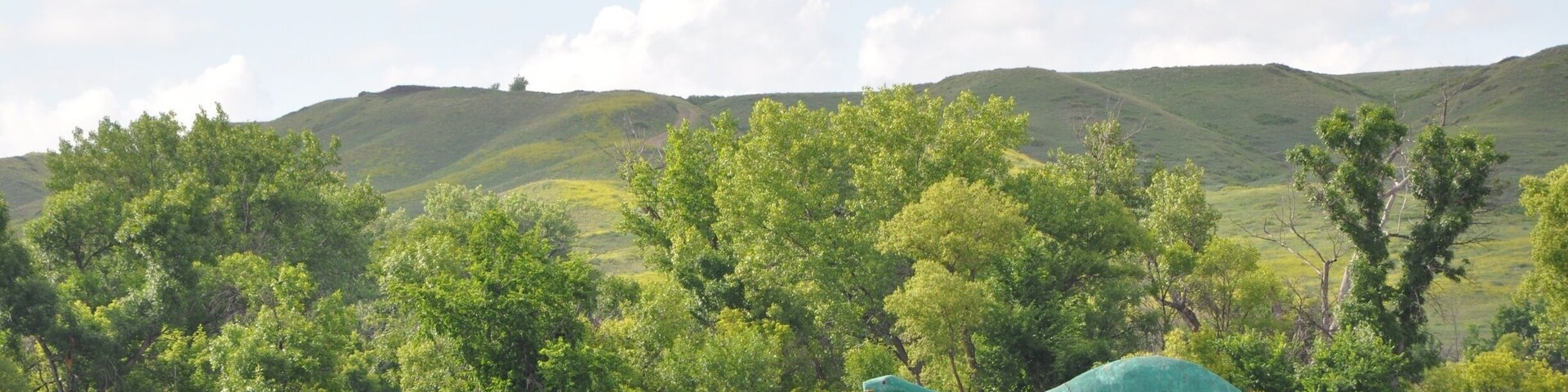 After Mt. Rushmore, on the way to the Badlands, on the north side of Hwy 44, we spotted this dinosaur roaming the fields!!
Not sure exactly where on the map, so if you know for certain, please comment.
