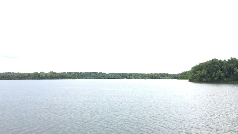 Rainy day at the park