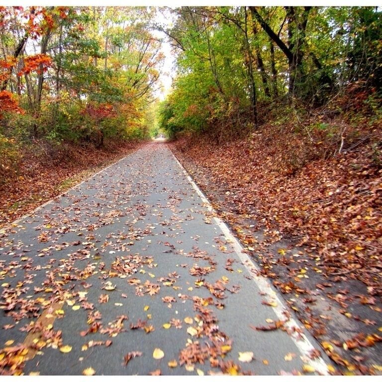 Riding my bike on the bike path, an old railroad track that once linked Providence to New London. 