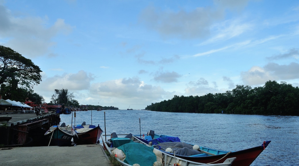 Several traditional fishing boats are docked along the riverbank and lush green foliage lines the opposite shore.