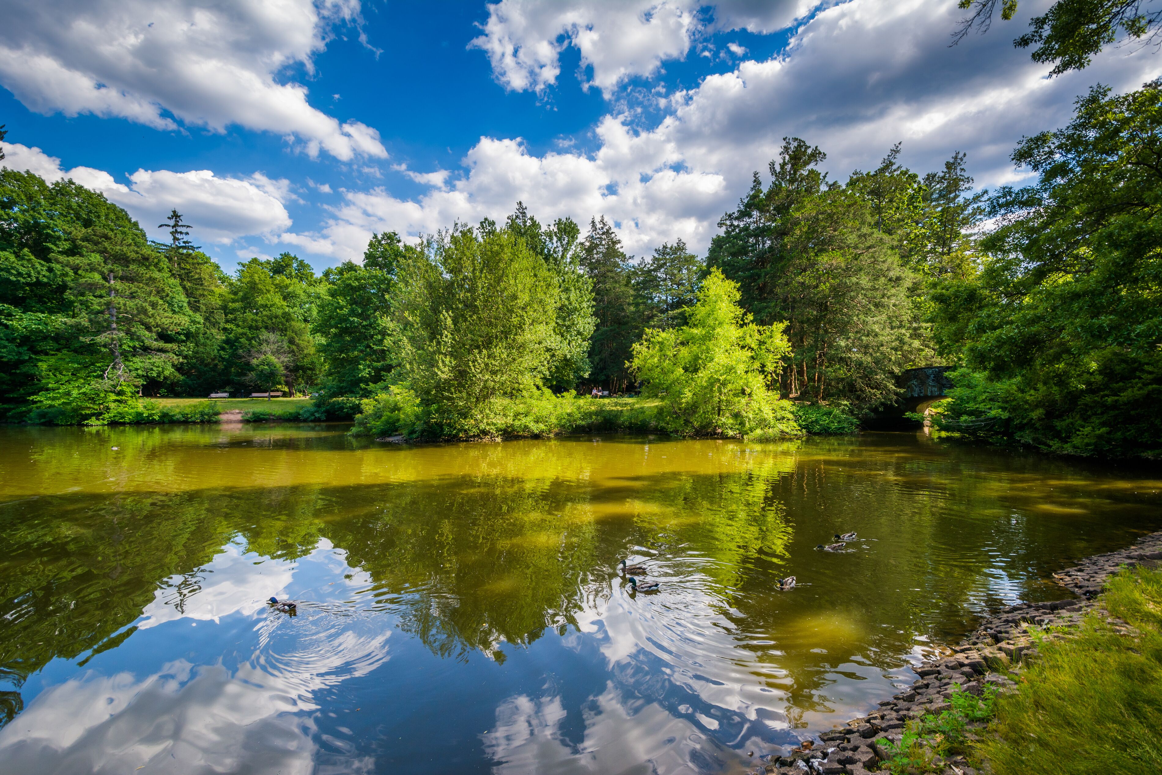 Pond at Elizabeth Park, in Hartford, Connecticut.