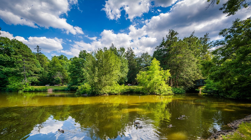 Pond at Elizabeth Park, in Hartford, Connecticut.