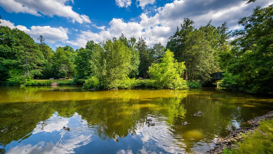 Pond at Elizabeth Park, in Hartford, Connecticut.
