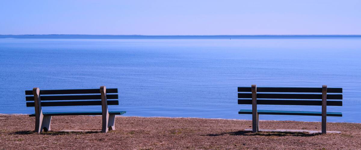 Two wooden benches facing a calm body of water under a clear sky.