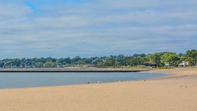 A pier on Sand Point Beach at New Haven Harbor on Long Island Sound. West haven in New Haven County, Connecticut