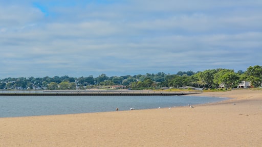 A pier on Sand Point Beach at New Haven Harbor on Long Island Sound. West haven in New Haven County, Connecticut