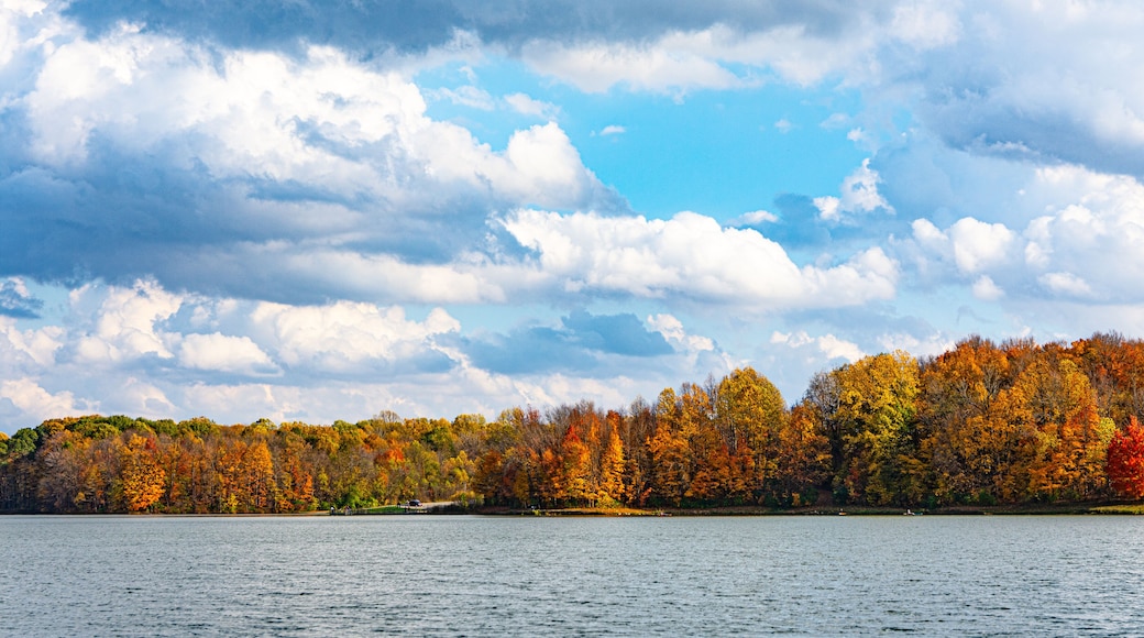 Brightly colored trees of autumn line the shore of Worster Lake at Potato Creek State Park in North Liberty, Indiana