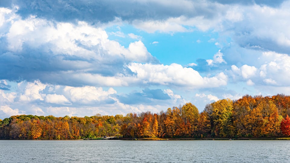 A lake with autumn-colored trees and a cloudy sky.