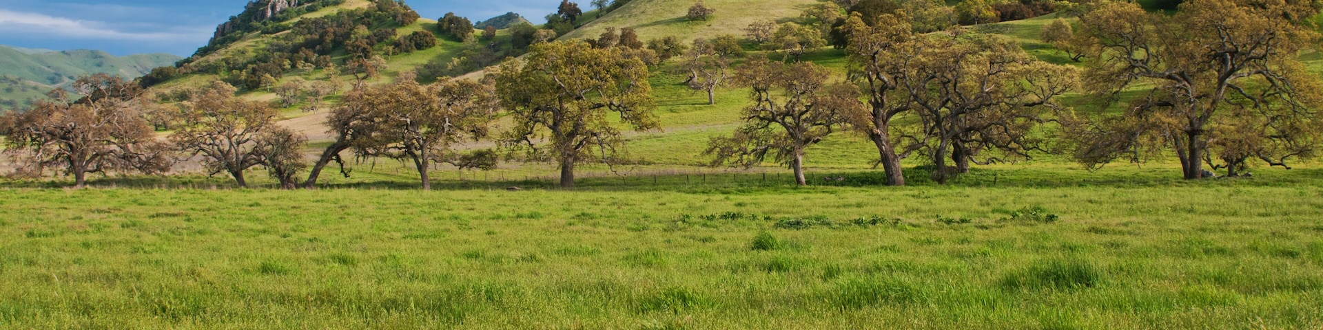 Un campo cubierto de hierba con una colina y un promontorio rocoso al fondo.