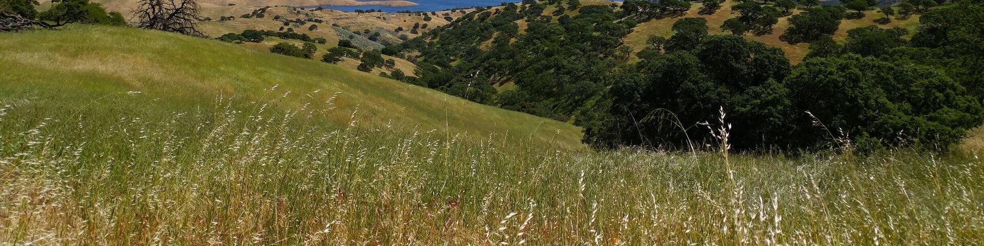 Within the first mile of the Dinosaur Lake Trail, you get this phenomenal view of the San Luis Reservoir.