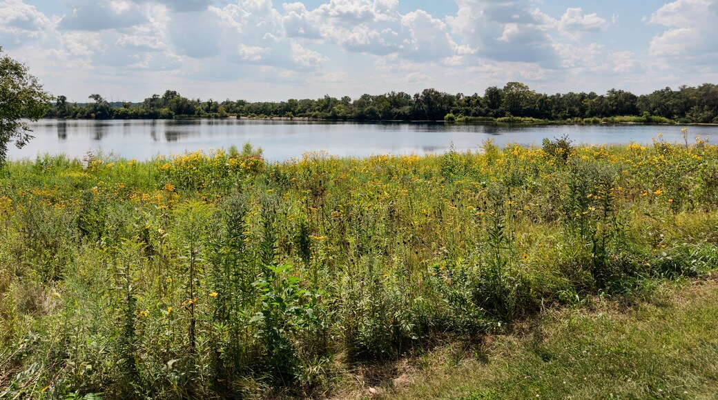 บาร์ตเลต