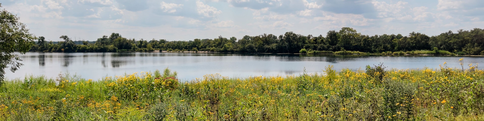 Wildflower Meadow Overlooking a Calm Lake Under a Cloud-Filled Sky