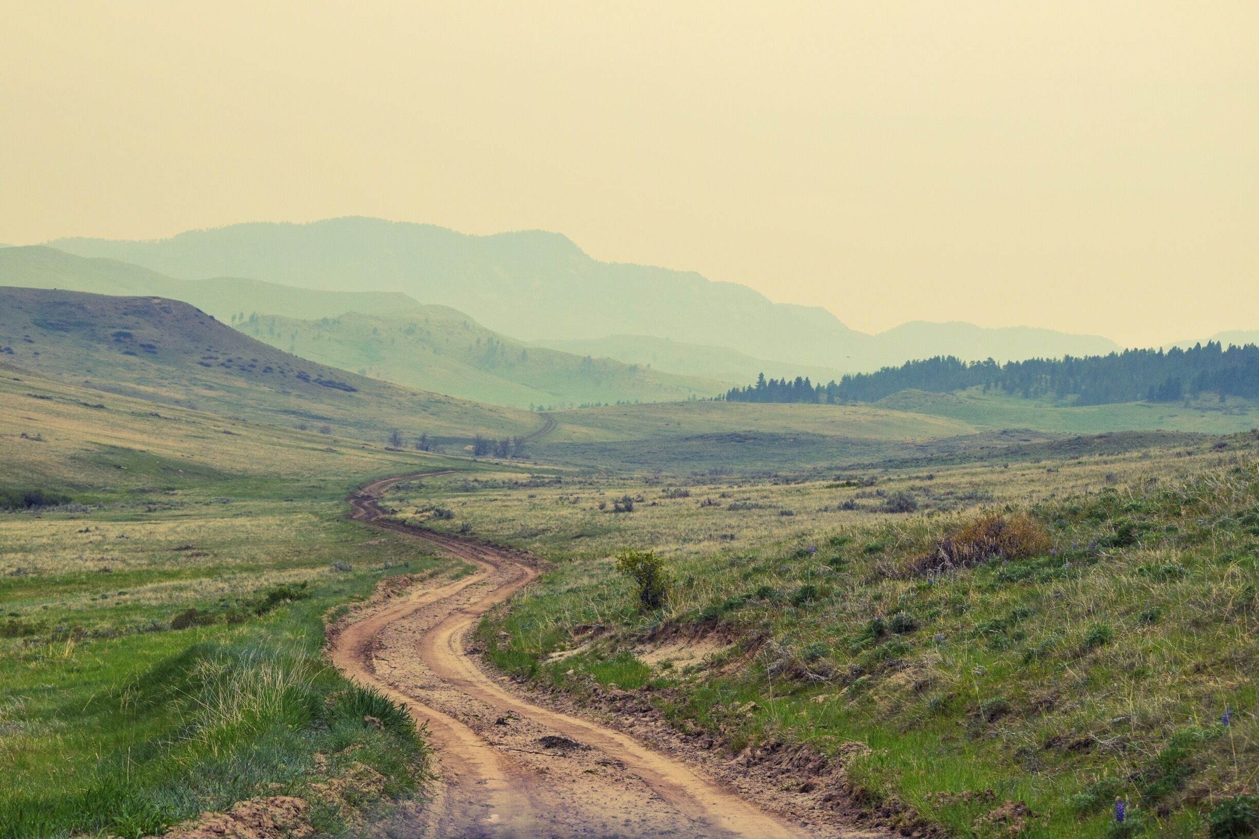 Out driving the back roads MT, this is the scene from earlier this spring when the smoke from the  Canadian fires gave a layered smoggy effect to the hills. #Bestof5