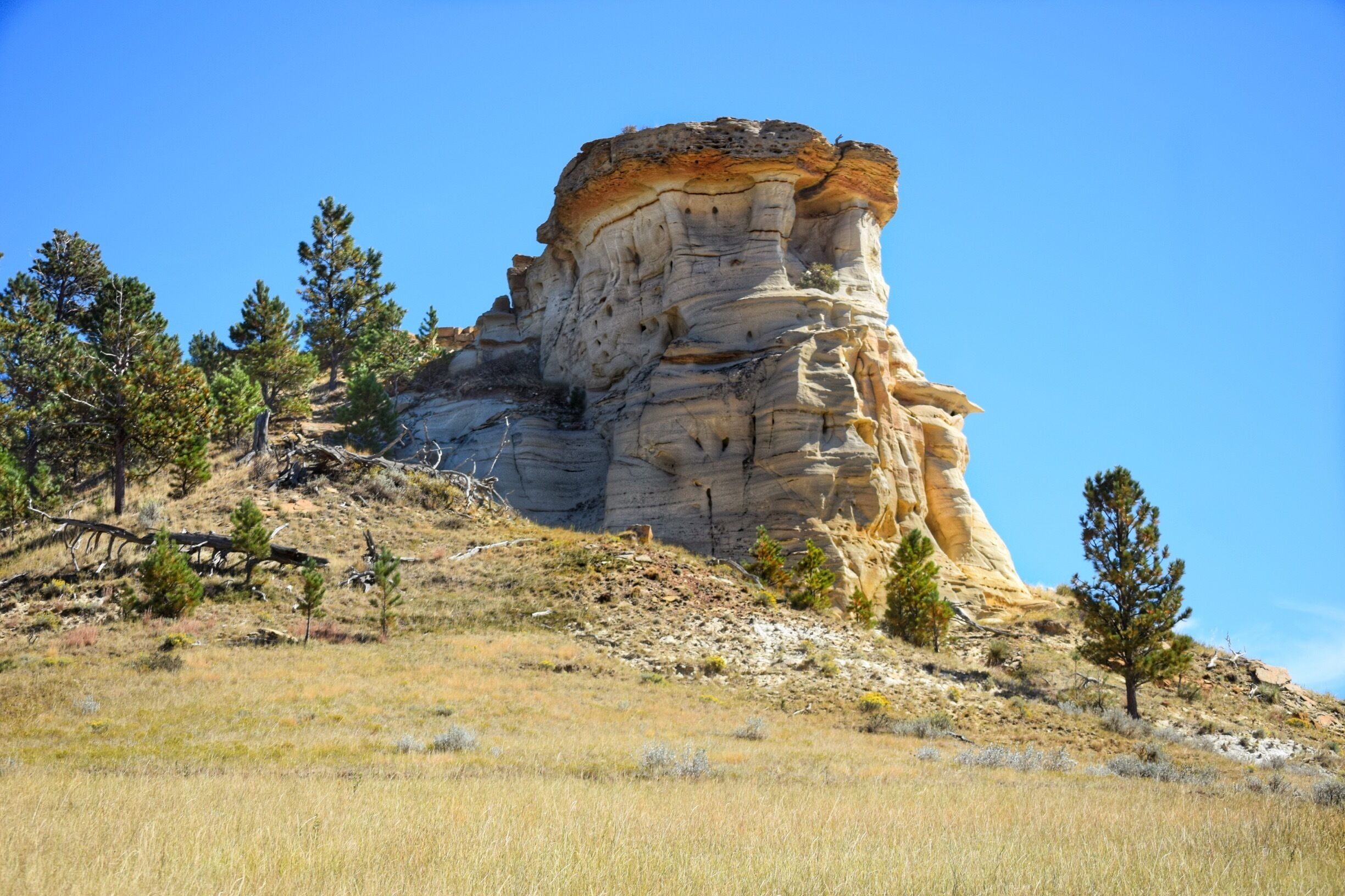 A large rock formation with a flat top and a steep cliff face, surrounded by sparse vegetation and trees.