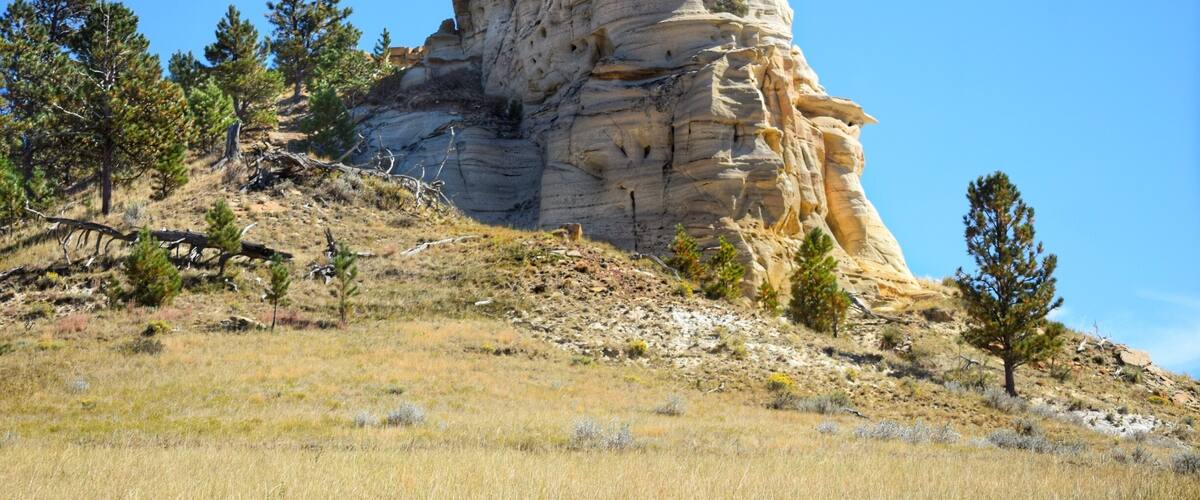 A large rock formation with a flat top and a steep cliff face, surrounded by sparse vegetation and trees.