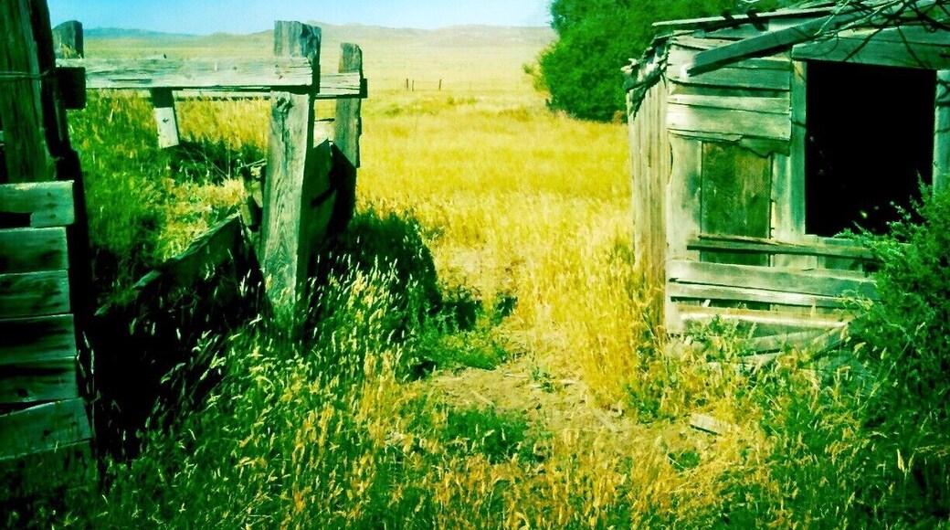 If you want to feel like you're in an old Western, park your car in Ingomar for an afternoon and just pretend you rode in on a horse or via the now-defunct railroad, the remnants of which still scatter the surrounding fields. Once a railroad stop for the Milwaukee Road line, Ingomar's population dwindled in the 1920's. It's only partially ghosted today, amid a smattering of old buildings and homesteads in various states of decay a handful of souls call the town home and the Jersey Lilly Saloon still leans tall. #Ingomar #Montana #ghosttowns #abandoned #historic #towns