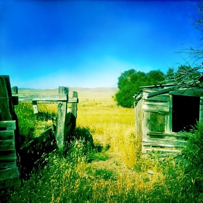 If you want to feel like you're in an old Western, park your car in Ingomar for an afternoon and just pretend you rode in on a horse or via the now-defunct railroad, the remnants of which still scatter the surrounding fields. Once a railroad stop for the Milwaukee Road line, Ingomar's population dwindled in the 1920's. It's only partially ghosted today, amid a smattering of old buildings and homesteads in various states of decay a handful of souls call the town home and the Jersey Lilly Saloon still leans tall. #Ingomar #Montana #ghosttowns #abandoned #historic #towns